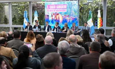 Chaco y BICE lanzan créditos en valor producto para la ganadería