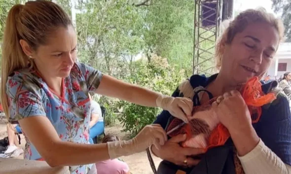 Castración gratuita de perros y gatos en Charata el 20 de junio