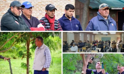 Capacitación en poda de arbolado urbano en Charata con el INTA Sáenz Peña