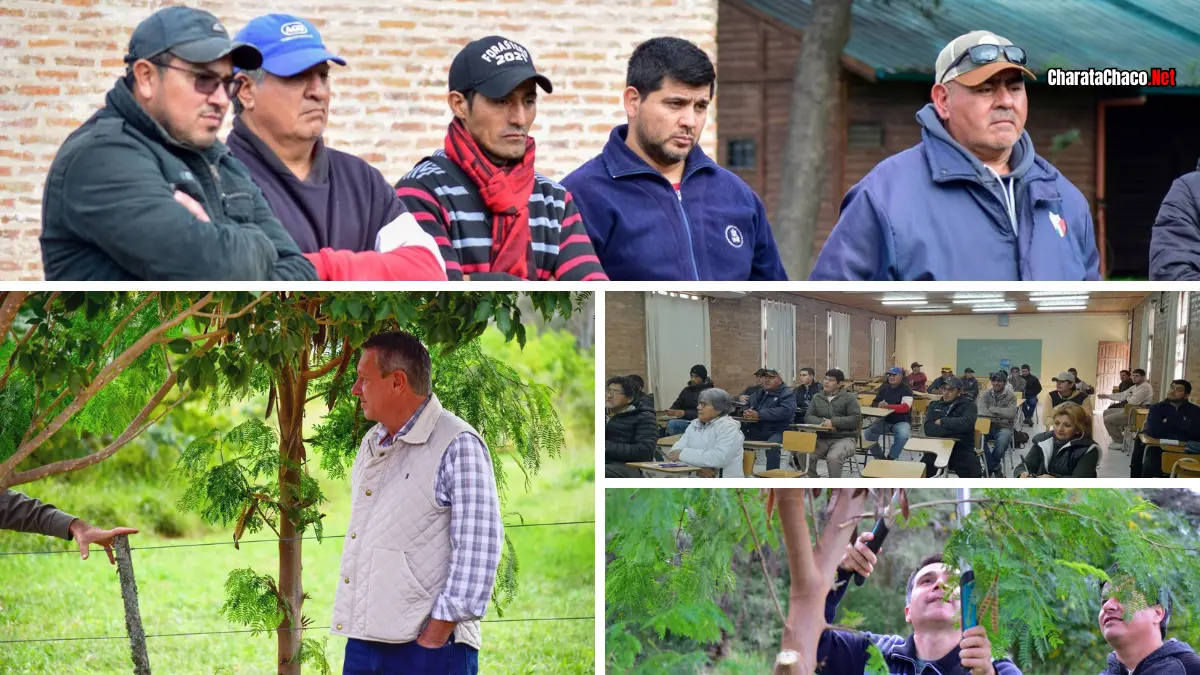 Capacitación en poda de arbolado urbano en Charata con el INTA Sáenz Peña
