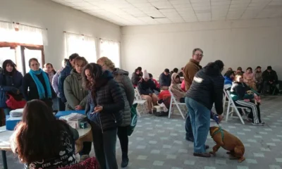 Charata: 105 castraciones gratuitas de perros y gatos en nueva jornada