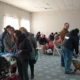 Charata: 105 castraciones gratuitas de perros y gatos en nueva jornada