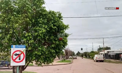 Clima en Charata hoy lunes 15 de junio de 2026