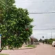 Clima en Charata hoy lunes 15 de junio de 2026