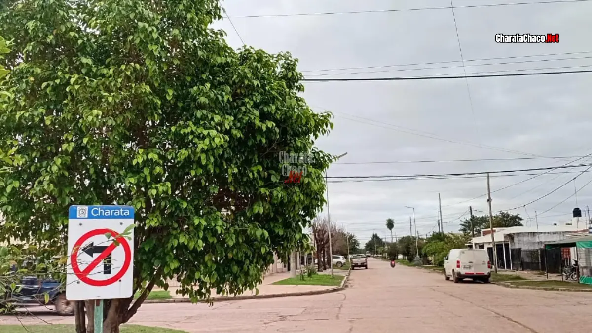 Clima en Charata hoy lunes 15 de junio de 2026