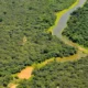Día Mundial del Ambiente 2026: acción climática urgente y el Chaco entre las provincias con más bosques perdidos