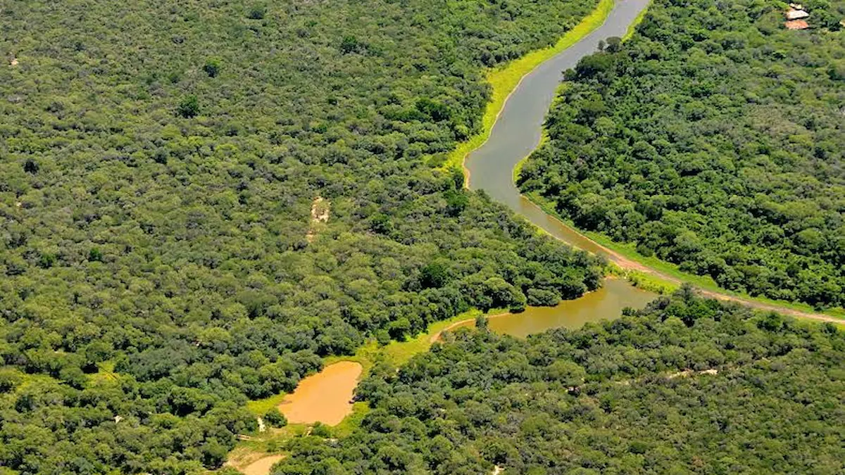 Día Mundial del Ambiente 2026: acción climática urgente y el Chaco entre las provincias con más bosques perdidos