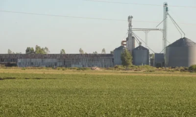 Exportaciones agroindustriales en Chaco: por qué la provincia lidera el ranking
