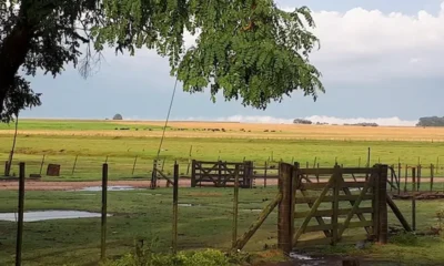 Pronóstico agroclimático Chaco junio 2026: frío y lluvias escasas