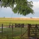 Pronóstico agroclimático Chaco junio 2026: frío y lluvias escasas