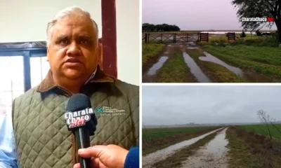 El Niño y el campo en Chacabuco: la advertencia de Luis Silva