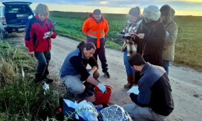 Calidad del agua en los Bajos Submeridionales: así la monitorea el Chaco