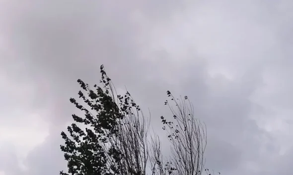 Clima en Charata hoy jueves 11 de junio de 2026