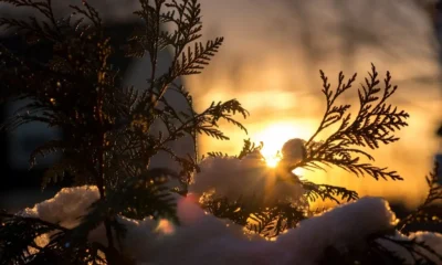 Solsticio de invierno 2026: cuándo fue y por qué se produce en Argentina