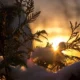 Solsticio de invierno 2026: cuándo fue y por qué se produce en Argentina