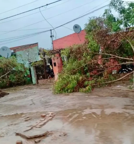 Temporal en Santa Sylvina: tornado, 49 mm y destrozos este domingo
