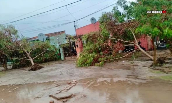 Temporal en Santa Sylvina: tornado, 49 mm y destrozos este domingo
