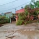 Temporal en Santa Sylvina: tornado, 49 mm y destrozos este domingo