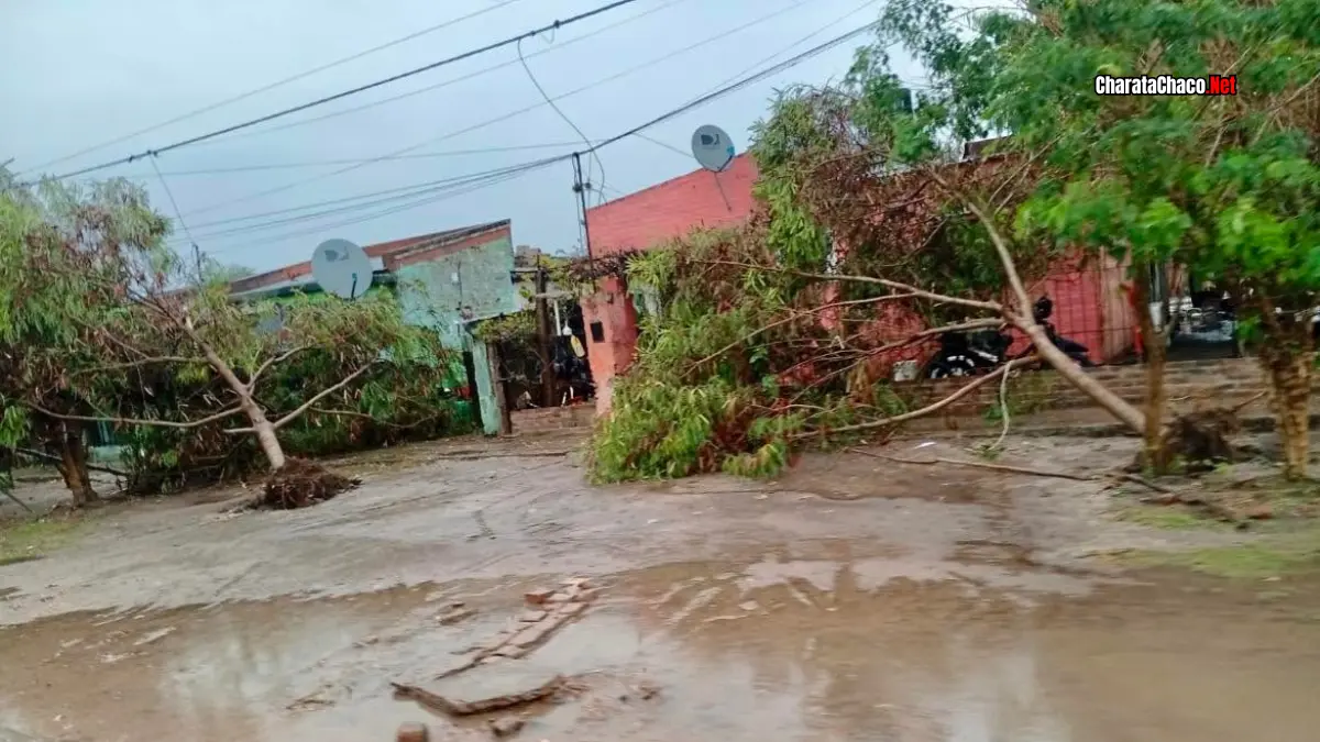 Temporal en Santa Sylvina: tornado, 49 mm y destrozos este domingo