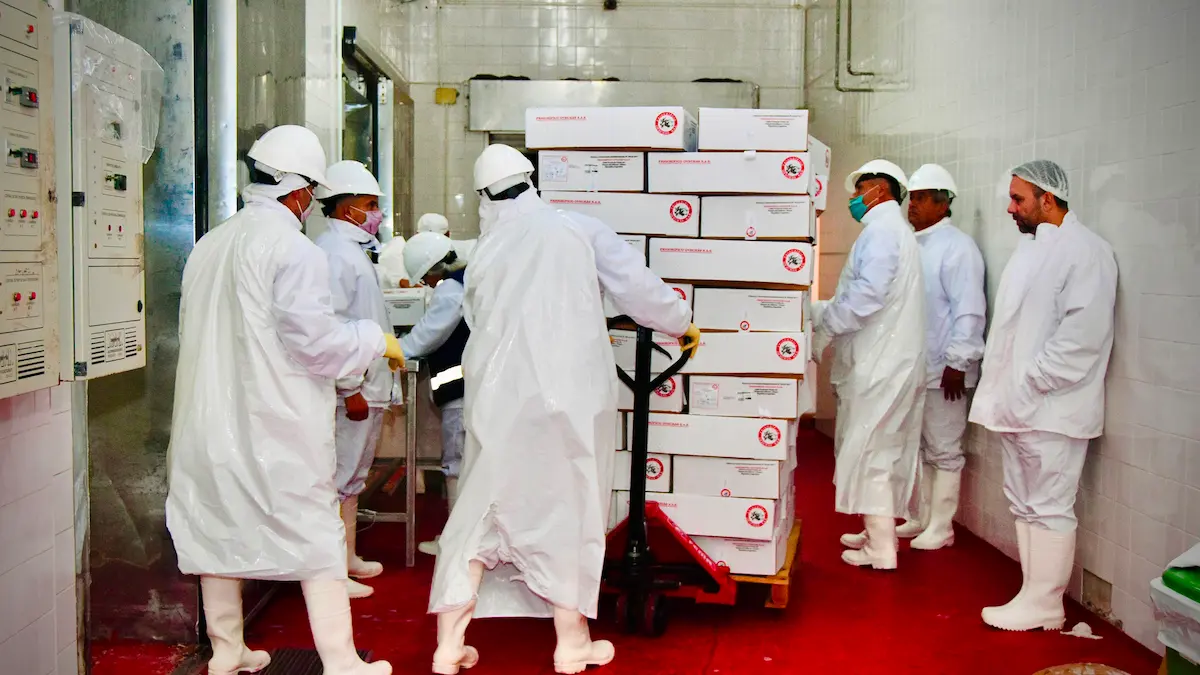 PROGANO: segunda carga de carne caprina rumbo a Arabia Saudita