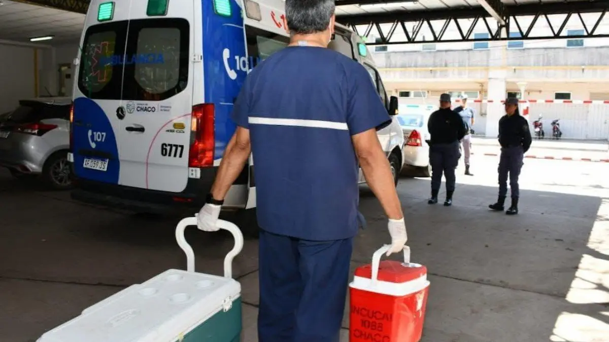 Personal de salud trasladando contenedores de traslado de órganos en el Hospital Perrando, en un operativo del CUCAI Chaco