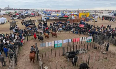 Cierre de Agronea 2026: el balance del Municipio en Charata