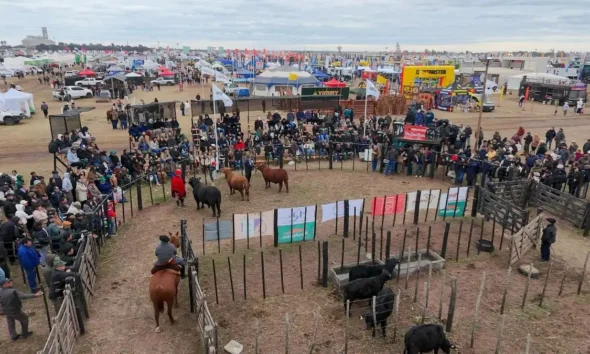 Cierre de Agronea 2026: el balance del Municipio en Charata