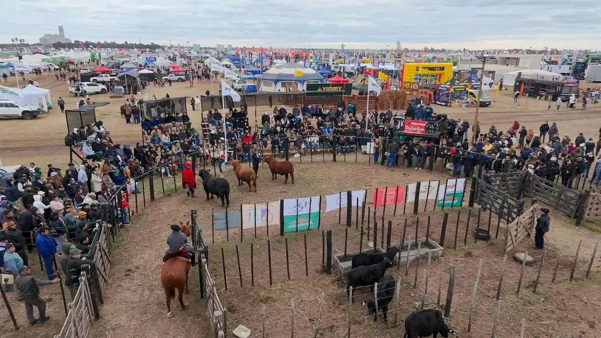 Cierre de Agronea 2026: el balance del Municipio en Charata