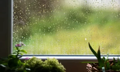Clima en Charata hoy: sigue el cielo cubierto este viernes
