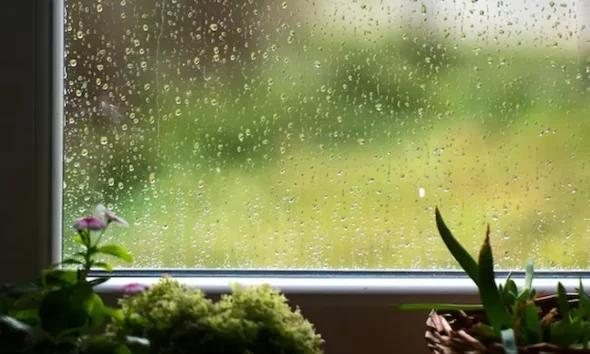 Clima en Charata hoy: sigue el cielo cubierto este viernes