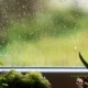Clima en Charata hoy: sigue el cielo cubierto este viernes