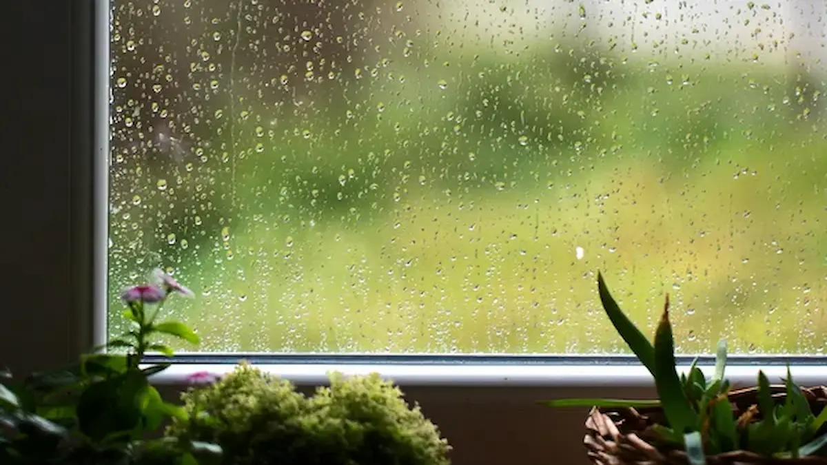 Clima en Charata hoy: sigue el cielo cubierto este viernes