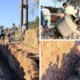 Nuevas alcantarillas en Charata: obras de Rach