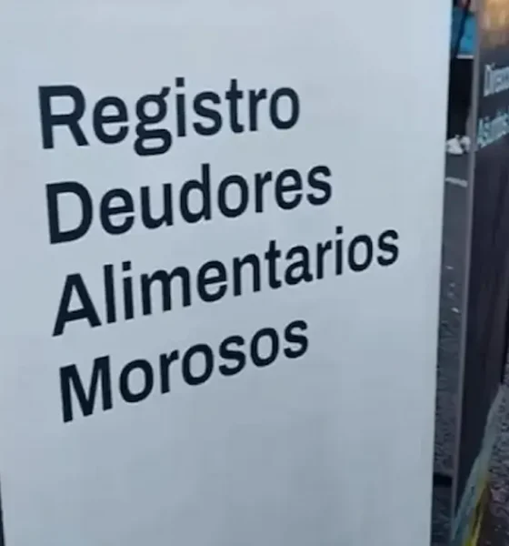 Registros de deudores alimentarios: Ecom unifica la plataforma