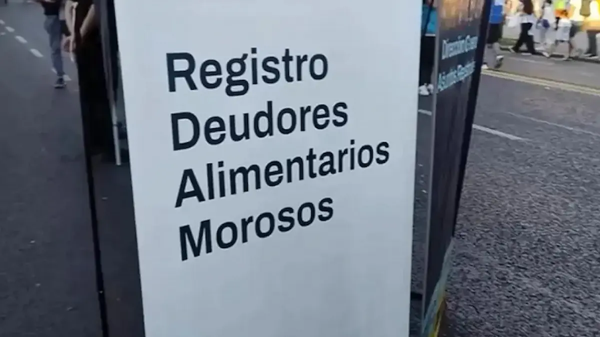 Registros de deudores alimentarios: Ecom unifica la plataforma