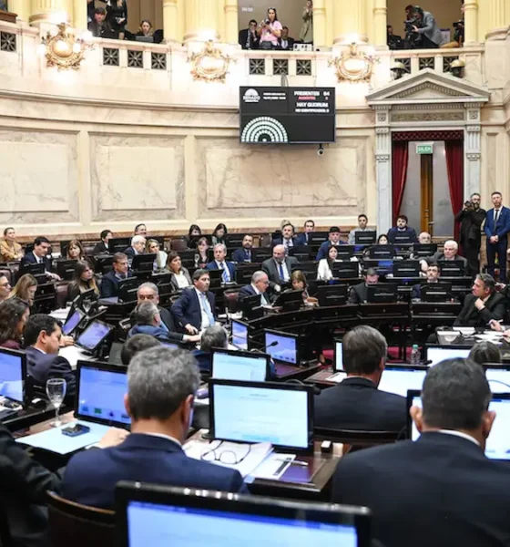 Senado: la ley de Propiedad Privada se debatirá recién el 6 de agosto