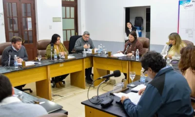 Sesión N° 86 del Concejo de Charata: lo que se aprobó