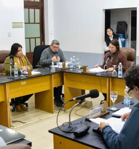 Sesión N° 86 del Concejo de Charata: lo que se aprobó