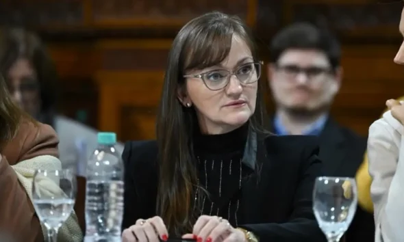 Jornada legislativa de Schneider: industria y familias