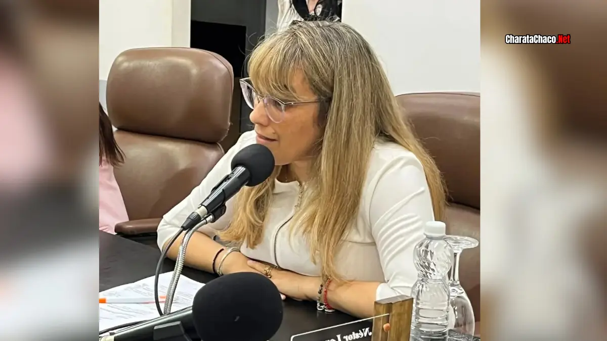 Ley de Tierras: pedido de una concejal de Charata