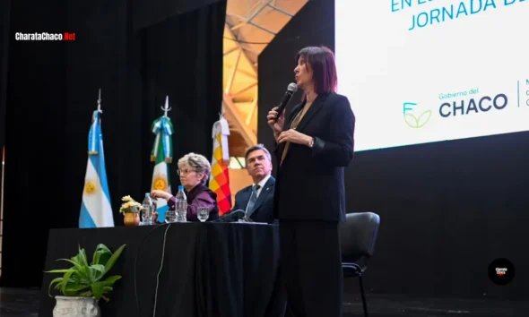 Chaco pasó del 27% al 61% en comprensión lectora