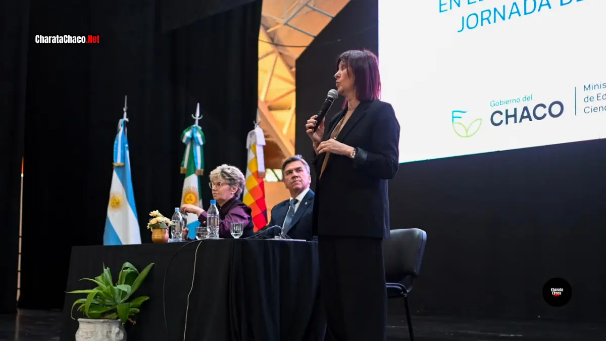 Chaco pasó del 27% al 61% en comprensión lectora