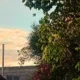 El tiempo en Charata: pronóstico del miércoles 5 de agosto
