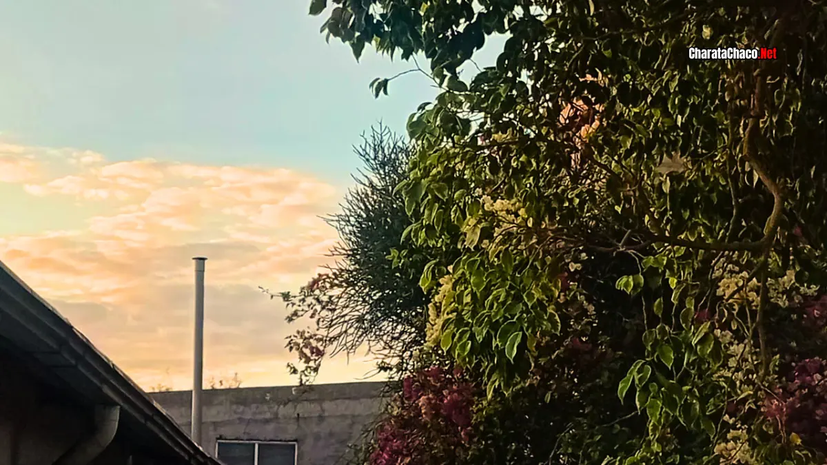 El tiempo en Charata: pronóstico del miércoles 5 de agosto
