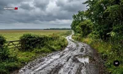 Caminos rurales transitables en Charata este lunes