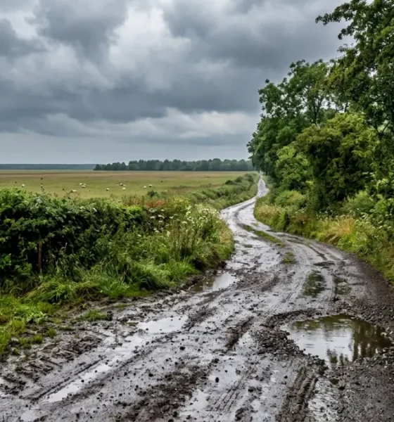 Caminos rurales transitables en Charata este lunes