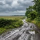 Caminos rurales transitables en Charata este lunes