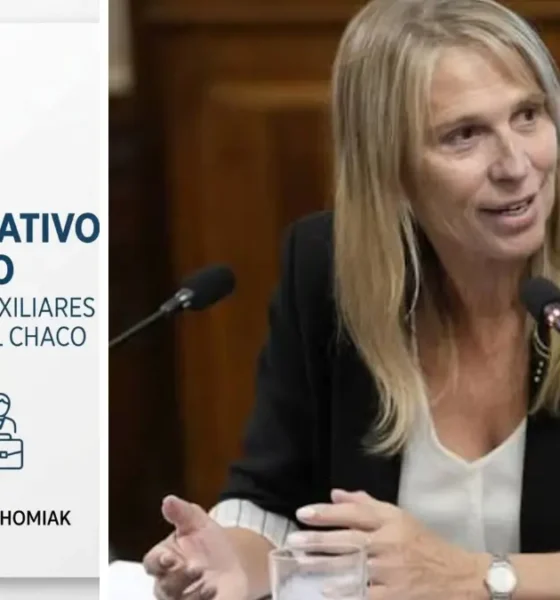 Chomiak presentó un proyecto de Boleto Educativo Gratuito