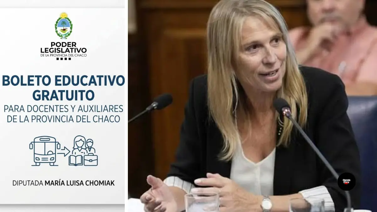 Chomiak presentó un proyecto de Boleto Educativo Gratuito