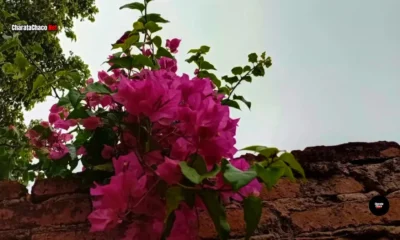 Clima en Charata hoy: alerta amarilla por tormenta este martes